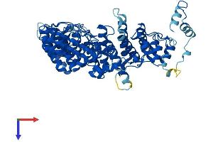 FEM1C Protein (AA 1-617) (His tag)