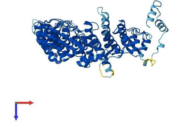 FEM1C Protein (AA 1-617) (His tag)