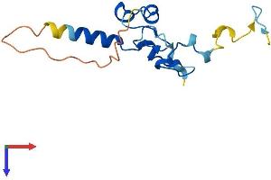 NANOS2 Protein (AA 1-138) (His tag)