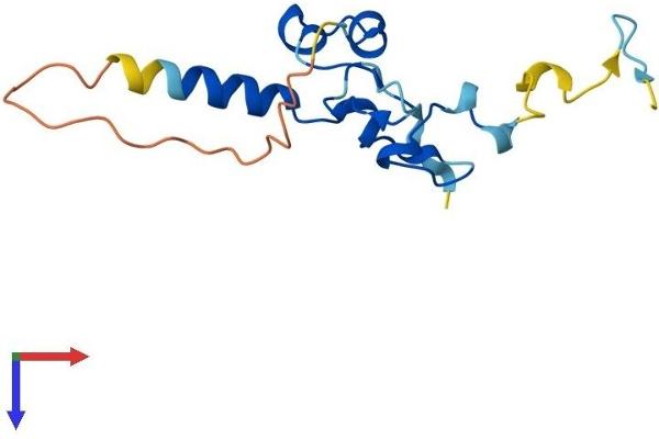 NANOS2 Protein (AA 1-138) (His tag)