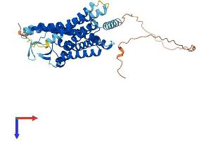 Hydroxycarboxylic Acid Receptor 3 (HCAR3) (AA 1-387) protein (His tag)