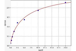 Complement Fragment 3a (C3a) ELISA Kit