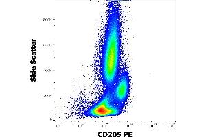 Flow cytometry surface staining pattern of human peripheral whole blood stained using anti-human CD205 (HD30) PE antibody (10 μL reagent / 100 μL of peripheral whole blood). (LY75/DEC-205 Antikörper  (PE))