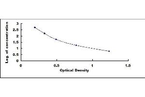 Typical standard curve (Big Dynorphin ELISA Kit)