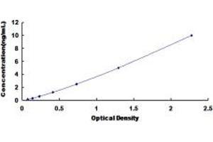 Typical standard curve (KIR2DS4 ELISA Kit)