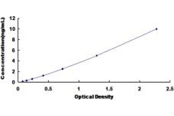 KIR2DS4 ELISA Kit