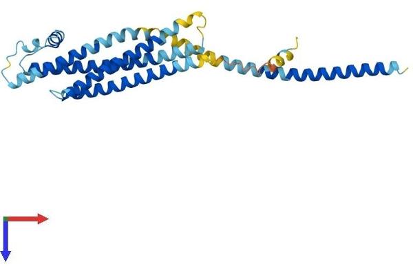 STX2 Protein (AA 1-288) (His tag)