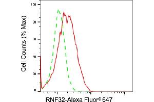 Flow cytometric analysis of RNF32 expression in Raji cells using RNF32 antibody (ABIN7800251), 1:2,000). (RNF32 Antikörper)