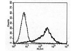 Image no. 2 for anti-Tumor Necrosis Factor (Ligand) Superfamily, Member 13 (TNFSF13) antibody (ABIN187283) (TNFSF13 Antikörper)