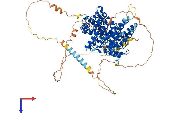 GIT2 Protein (AA 1-708) (His tag)