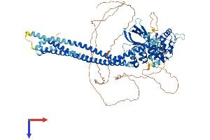 ASAP3 Protein (AA 1-903) (His tag)
