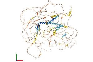 Protein Structure (PS) image for Atrophin 1 (ATN1) (AA 1-1190) protein (His tag) (ABIN7552444)