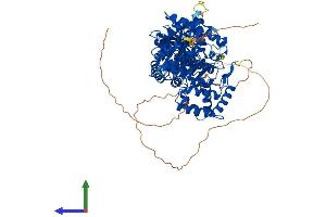 Protein Structure (PS) image for Choline O-Acetyltransferase (CHAT) (AA 1-748) protein (His tag) (ABIN7546528)