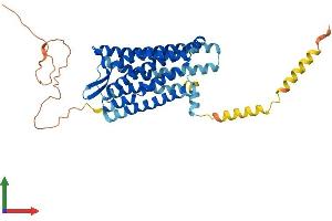 Protein Structure (PS) image for Opioid Receptor, mu 1 (OPRM1) (AA 1-398) protein (His tag) (ABIN7563250)