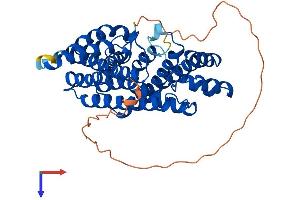 FDPS Protein (AA 1-419) (His tag)