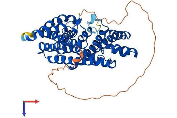 FDPS Protein (AA 1-419) (His tag)