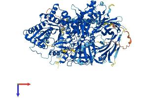 alpha-Mannosidase II Protein (AA 1-1150) (His tag)