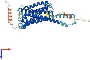 GPR45 Protein (AA 1-372) (His tag)