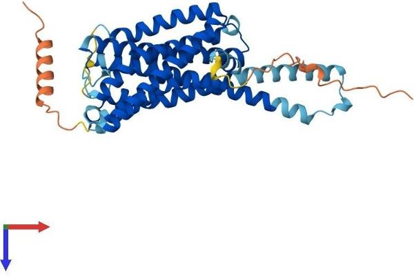 GPR45 Protein (AA 1-372) (His tag)