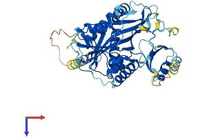 TTLL1 Protein (AA 1-423) (His tag)