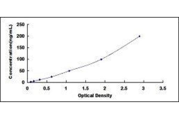 Complement Factor B ELISA Kit