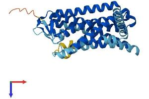 OR7C2 Protein (AA 1-319) (His tag)