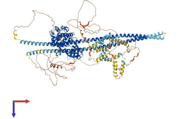 TAO Kinase 2 Protein (TAOK2) (AA 1-1240) (His tag)