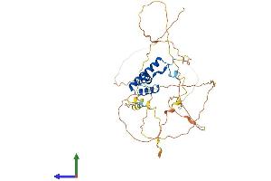 Protein Structure (PS) image for Lymphoid Enhancer-Binding Factor 1 (LEF1) (AA 1-397) protein (His tag) (ABIN7563030)