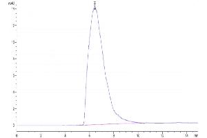 Size-exclusion chromatography-High Pressure Liquid Chromatography (SEC-HPLC) image for Transferrin Receptor (p90, CD71) (TFRC) (AA 89-760) protein (His-Avi Tag,Biotin) (ABIN7275703)