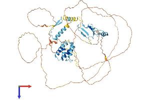 MED26 Protein (AA 1-600) (His tag)