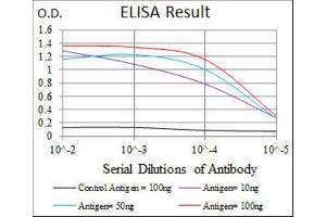 ELISA image for anti-Fibronectin 1 (FN1) antibody (ABIN1846248) (Fibronectin 1 Antikörper)