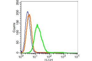 RSC96 cells probed with GPR55 Polyclonal Antibody, ALEXA FLUOR® 488 Conjugated (bs-7686R-A488) at 1:2 for 30 minutes compared to control cells (blue) and isotype control (orange).