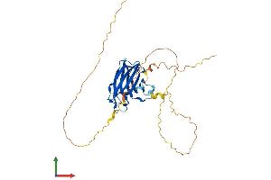 Protein Structure (PS) image for Regulating Synaptic Membrane Exocytosis 3 (RIMS3) (AA 1-308) protein (His tag) (ABIN7551416)