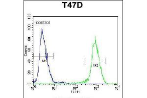 Flow cytometric analysis of T47D cells (right histogram) compared to a negative control cell (left histogram). (ARHGAP19 Antikörper  (AA 195-224))