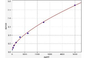 Typical standard curve (GPC1 ELISA Kit)
