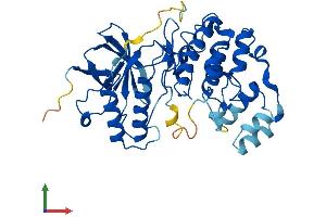 Protein Structure (PS) image for Mitogen-Activated Protein Kinase 13 (MAPK13) (AA 1-366) protein (His tag) (ABIN7565275)