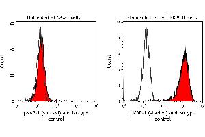 Flow Cytometry (FACS) image for anti-Tripartite Motif Containing 28 (TRIM28) (pSer824) antibody (ABIN7454038)