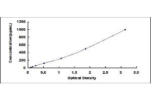 Typical standard curve (CDNF ELISA Kit)