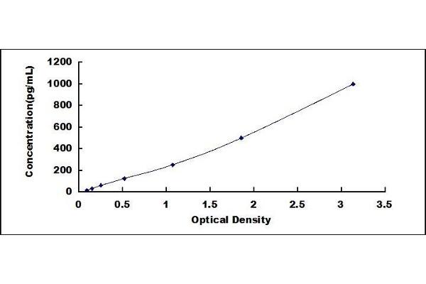 CDNF ELISA Kit