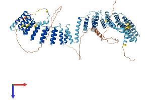 CRNKL1 Protein (AA 1-848) (His tag)