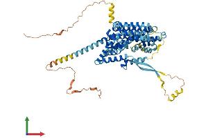 Protein Structure (PS) image for Solute Carrier Family 1 (Glial High Affinity Glutamate Transporter), Member 2 (SLC1A2) (AA 1-572) protein (His tag) (ABIN7563252)