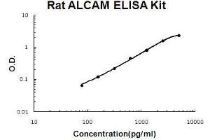 Rat ALCAM PicoKine ELISA Kit standard curve