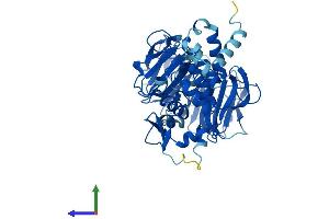 Protein Structure (PS) image for Regulator of Chromosome Condensation (RCC1) and BTB (POZ) Domain Containing Protein 1 (RCBTB1) (AA 1-531) protein (His tag) (ABIN7551297)