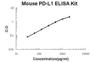 Mouse PD-L1/B7-H1 PicoKine ELISA Kit standard curve