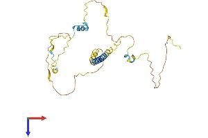 PMEPA1 Protein (AA 1-260) (His tag)