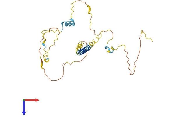 PMEPA1 Protein (AA 1-260) (His tag)