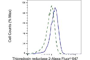 Validation of Thioredoxin reductase 2 knockdown using flow cytometry. (Rekombinanter TXNRD2 Antikörper)