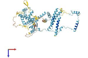 GTF2H1 Protein (AA 1-548) (His tag)