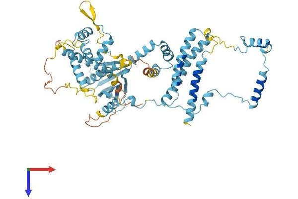 GTF2H1 Protein (AA 1-548) (His tag)
