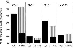 Anti-CD154-facilitated alloengraftment is multilineage. (Hamster IgG Isotyp-Kontrolle)